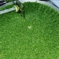 طرح ویژه فروش انواع سبزی برای ماه محرم