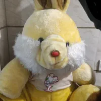 خرگوش زرد بزرگ
