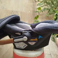 کریر نوزاد و کودک