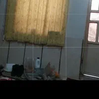 نقاشی ساختمان پلاستیک و روغنی