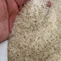 برنج طارم دمسیاه