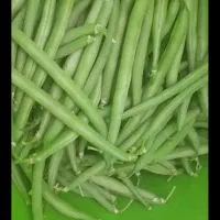 لوبیا تازه و مرغوب 120ت وخیارشور90ت