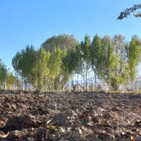 امتیاز-زمین-فرهنگیان