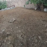 کود گوسفندی خشک