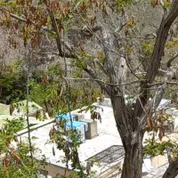 1000-کلنگی-نیاوران-دارآباد