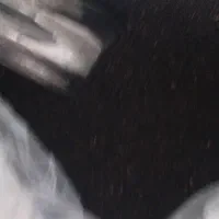 محصولات شمال گیلان