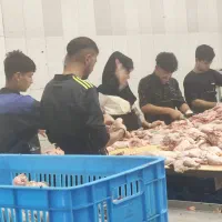 قطعه بندی مرغ (شیفت شب)