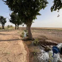 زمین-کشاورزی-باغی