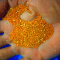 فروش خاکشیر