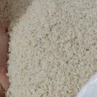 برنج دم‌سیاه ویسیان