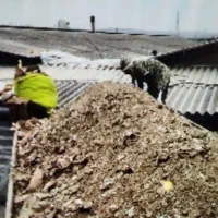 کودمرغ