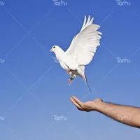 نمونه سوالات آزمون معلمی
