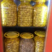 بلنچ بلانچ