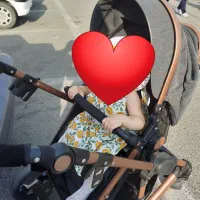 کالسکه اسپرینگ