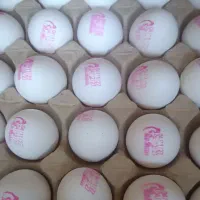 تخم‌مرغ درجه 1