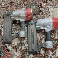 دو عدد میخکوب TNct64