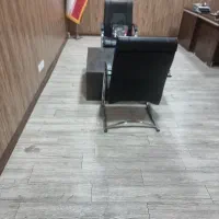 کارآموز خانم آژانس مسافرتی