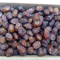 فروش عمده و خرده انواع خرما درجه 1دنیادیده