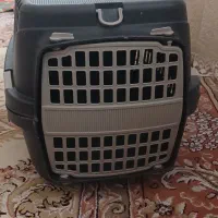 باکس سگ و گربه