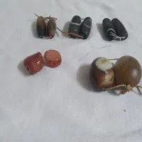 مهره