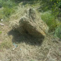 یونجه خاشا بسته بندی ۷۵   ۴۲۰ هزار