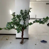 درختچه زینتی درخت انگور طبیعی با گل های مصنوعی