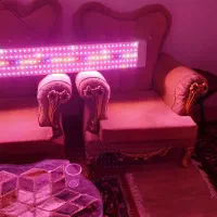 پنل ۵۴۰ وات