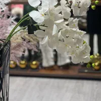 حراج گل های وارداتی به علت تغییر شغل