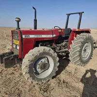 ۲۸۵ جفت  کارخانه درجه یک بک