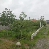 زمین  باغی فروشی  گلمکان با مجوز شهرداری