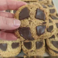 استخدام دو فروشنده خانم