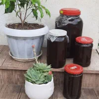 رب آلوچه(گوجه سبز)کاملا ارگانیک وخانگی