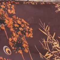 چادر رنگی