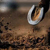 فقط بوکس باکس خالی اسب پانسیون اسب