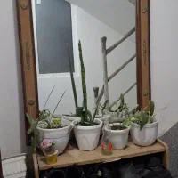 اینه