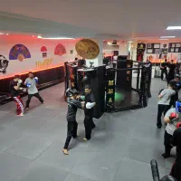 باشگاه تخصصی رزمی میعاد تنها قفس MMA