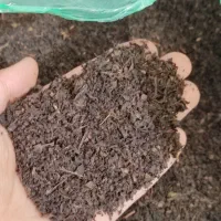 چای قاطی