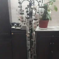 اباژور|چراغ خواب و آباژور|تهران, کیانشهر|دیوار
