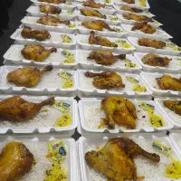 کترینگ کیاشا چلوجوجه چلومرغ تخفیف افتتاحیه