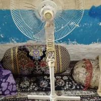 پنکه