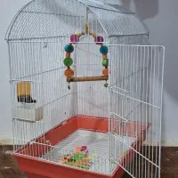 قفس پرنده یا عروس
