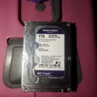 هارد 1tb وسترن بنفش اصلی