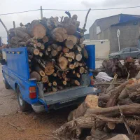 خرید چوب قطع درخت و هرس
