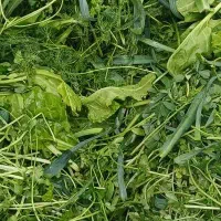 سبزی خورشتی و آشی