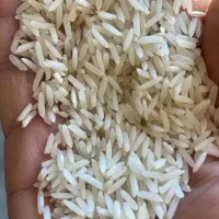 برنج شیرودی درجه 1