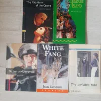 کتاب زبان - داستان انگلیسی - ۵ عدد storybook