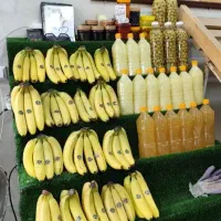 لوازم میوه فروشی حرفه ای
