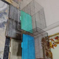 قفس پرنده
