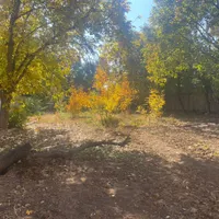 ۱۵۰۰ متر باغ سند تک برگ آماده ساخت|فروش زمین و ملک کلنگی|تهران, شهرک غرب|دیوار