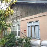یک-ملک-خاص-و-نایاب-در-شمال
